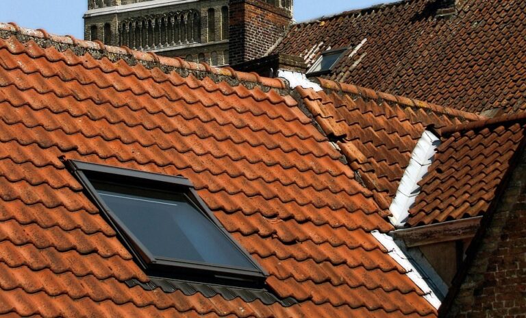 church tower, tile roof, roof surface, skylight, roof tiles, bruges, belgium, skylight, skylight, skylight, skylight, skylight