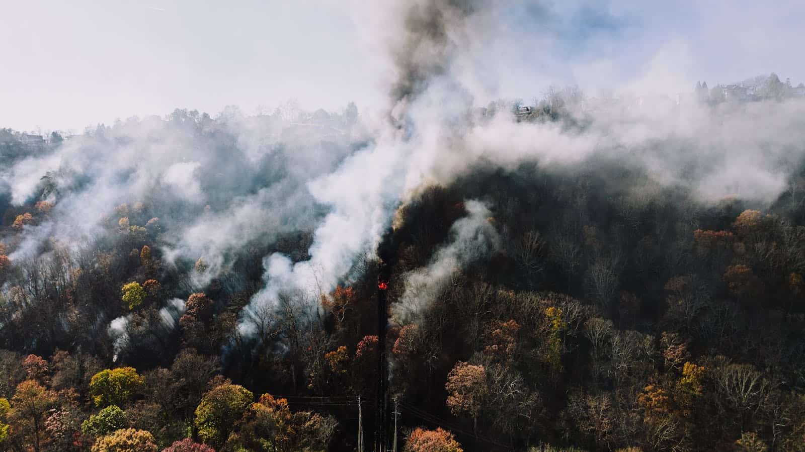 A captivating aerial photography of smoke arising from a forest in Chattanooga, Tennessee.