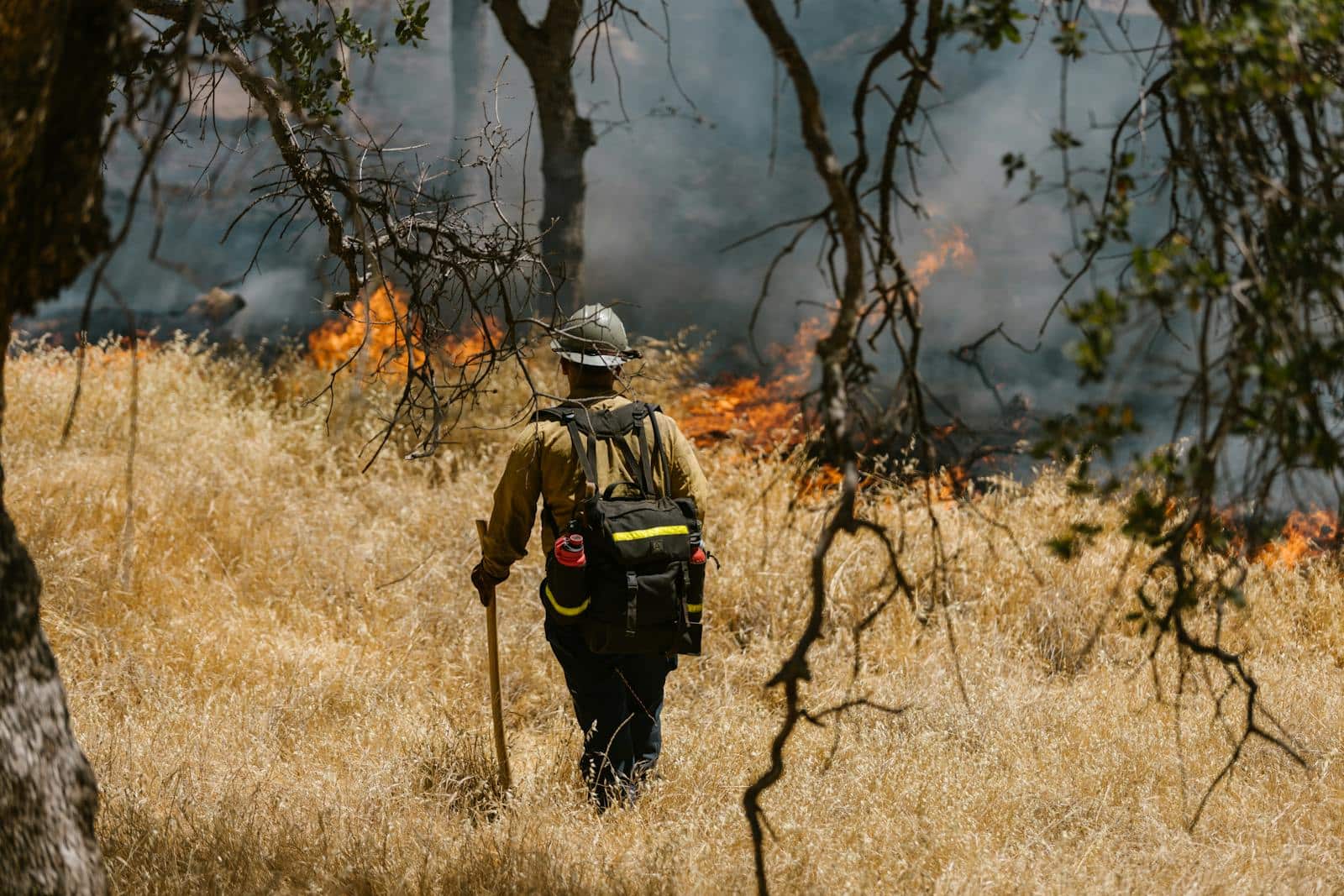 A firefighter in uniform battling a fierce forest wildfire amidst dry grass and trees.